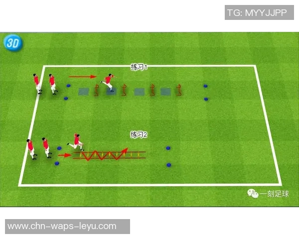 提升足球视野的技巧与方法助你成为场上更聪明的球员